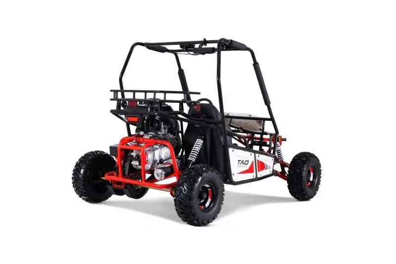 Tao Motors / Side-By-Side Triton 125 120Cc, 4-Stroke Pdi/Freight Extra 1