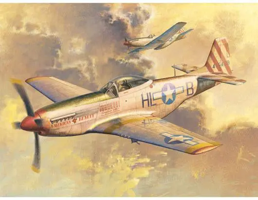 Trumpeter 1/32 P-51 D Mustang Model Kit 1