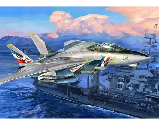 Trumpeter 1/32 F-14D Super Tomcat Model Kit 1