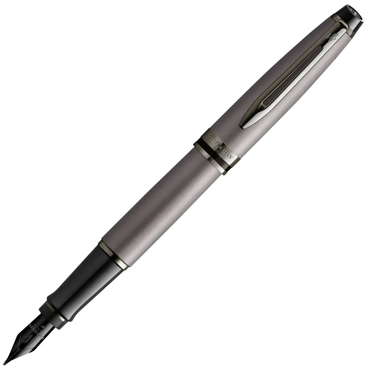 Waterman, Füller Expert Metallic Special Ed. Ruthenium, Metallic Silber 1